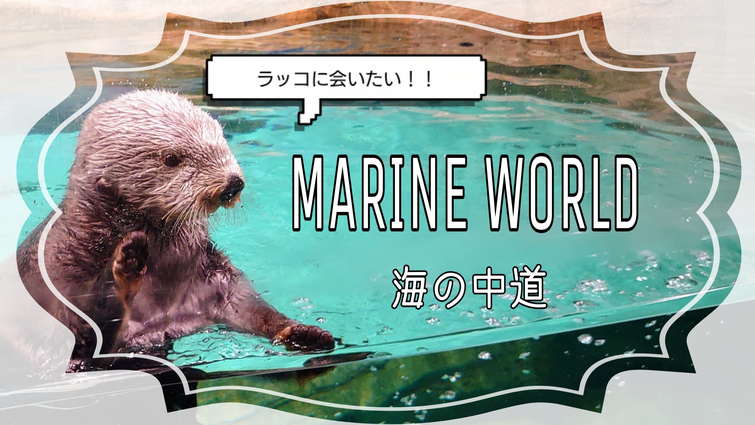 ラッコに会える水族館 マリンワールド海の中道！｜レティとドライブ